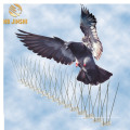 Hot Sale Plastic Bird Control Bird Spike